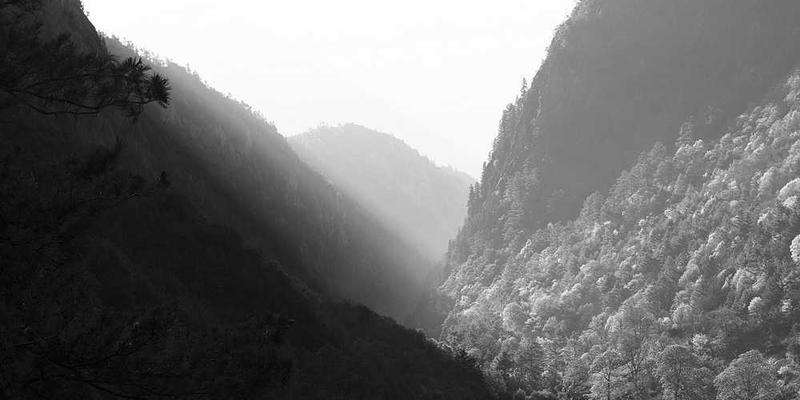 《焚风星辰》